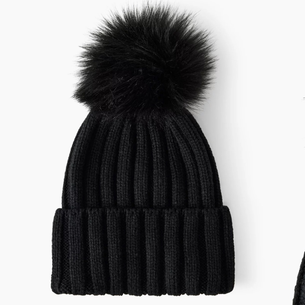 Aritzia Frosty Beanie
